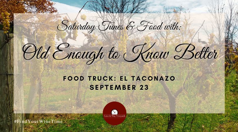 Saturday Tunes & Food with Old Enough To Know Better & El Taconazo