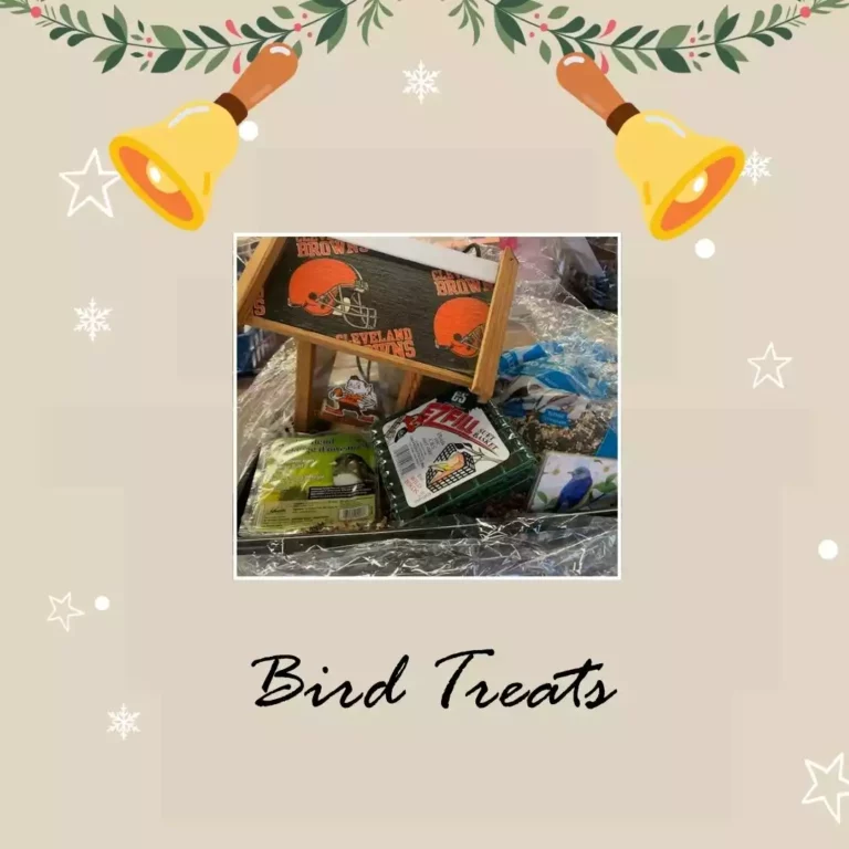 Bird Treats