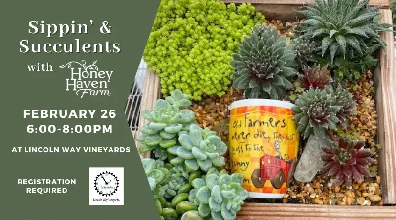 Sippin' and Succulents at Lincoln Way Vineyards